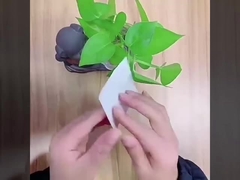 ημιδιάφανη ελαστική σάλτσα ταινιών